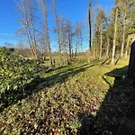 Fuer 10 Personen, Apartament