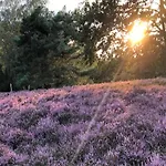 Fuer 10 Personen, Apartament *