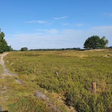 Ferienhaus, Apartmán