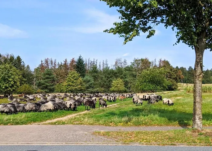 Fuer 10 Personen, Daire Schneverdingen
